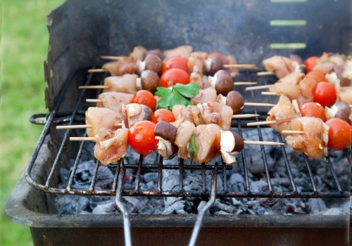 Barbecues / grillplaten en brandstof